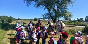 35519877_1720747621294906_7450998763629314048_n