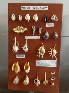 023f89e8-b98e-4ee5-99f1-88b247e63bf7