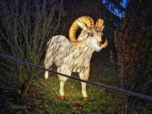 02e78755-4f28-48c8-9a8e-56257499c74a