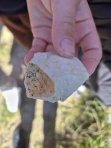 05093f81-6cb7-431c-88e9-4bd0f9dd8c5a