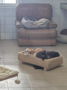 078f5cc6-6394-434a-892c-d117718be6d0