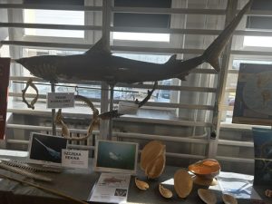 19ec1314-997f-460f-a27c-2f8aaceba272