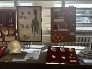 2149c623-d464-4e59-86c0-be87695eb28a