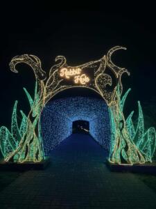 24057ee3-14fe-4625-8ddd-fe47e5923457