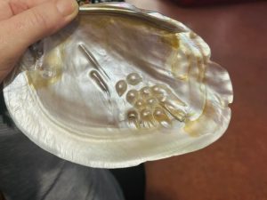 241f7ff5-ad9c-43bf-8671-e24ba331a004