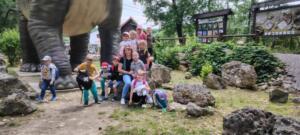 2e9644c8-8d5b-4b4c-a5a9-e5e68f44af6d