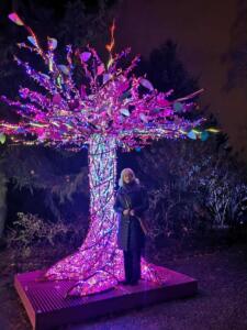 30cd11c0-a9f6-4296-99fa-44b5449ff0fa