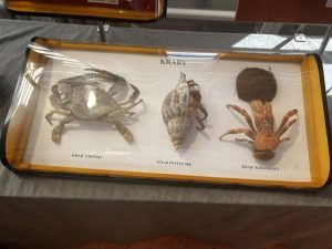 37602af3-3de3-45de-8ea5-bb21ba49dd4e