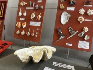 399d3cf7-5d10-4a4a-9122-a85ba2f45765