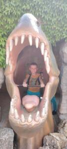 3ec11325-d70c-4470-af02-387c69345959