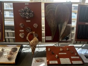 400ff6fd-e6d1-43e3-a9b5-8c849f90a063