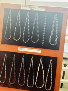 4d1fff9b-a559-4b59-b077-0b6225991588