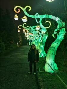 4f636178-e191-46f5-b102-43fe4a3aef16