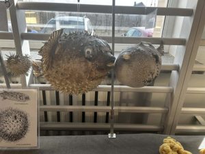 62d66e18-99ab-4906-8816-87e75f80b116