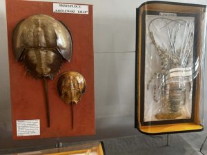 6797c4c0-741f-43e9-a006-87387da60fc5