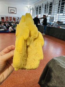 6cb289b6-6b31-49a6-b690-88b13deedc0e