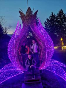 6f249089-c0ba-4a8a-95d6-5fe0b49f820c