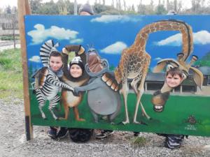 71955945_491169294771988_8909165947604959232_n