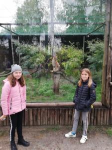 72676806_1489267544562531_215933801543499776_n