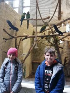 72820083_524629761444432_6962793602074279936_n