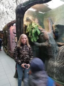 75271439_2604496269612460_5514357164723929088_n