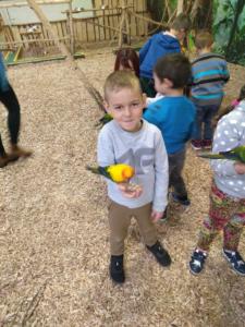 83840545_187509135932975_6576806871162683392_n