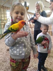 84334902_2594829800769060_4215056500290224128_n (1)