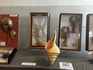 87cb3ffc-bf28-418e-8b7e-287086bcb54e