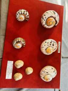 93862b97-b436-45b6-a696-3aa467c11682