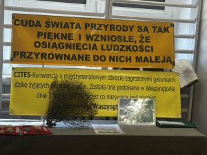 9b9645a3-2574-4484-9af8-eb7f20d5ee17