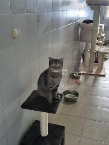 a49a40cd-0f15-493e-9d7f-381badda2e70