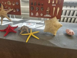 aa70c08c-8456-42ac-8462-d263a8594ec6