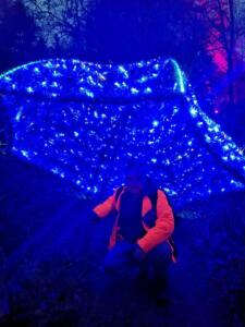 afbde8c7-afdb-47ae-893d-c08b2b7b5255