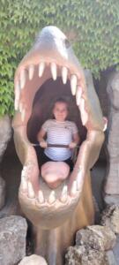 ba6d86be-082f-4ad2-a24e-2372668dece4