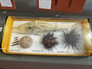 c0eaf2f7-7084-4f8d-8764-58d1f250ffe5