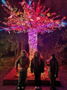 c230ba2a-0ff0-4ec0-b144-11fb17a02d58