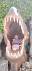 d206b01d-b207-4de1-8624-ebdd480701ea