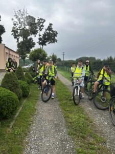 d243cee7-d3c4-4a09-805f-bb2897476cd4