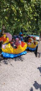 d927952c-50eb-493d-a3c6-e8580a77ae90