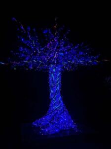 ed921ae1-0559-4aae-9843-1296b263d81a