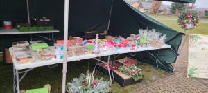 eef50709-d646-4edc-8e42-54fb9fe882ae