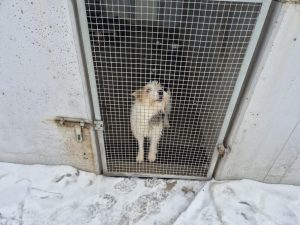 f7570bca-be77-48dd-a54f-72fb1fa8e674