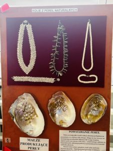 ff954942-65ed-4306-9d69-27b6496fce70